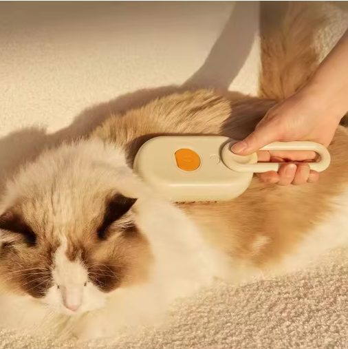 Brosse magique anti-poils